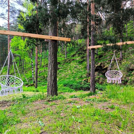 Vila Pogled Wellness I Spa Divčibare Extérieur photo