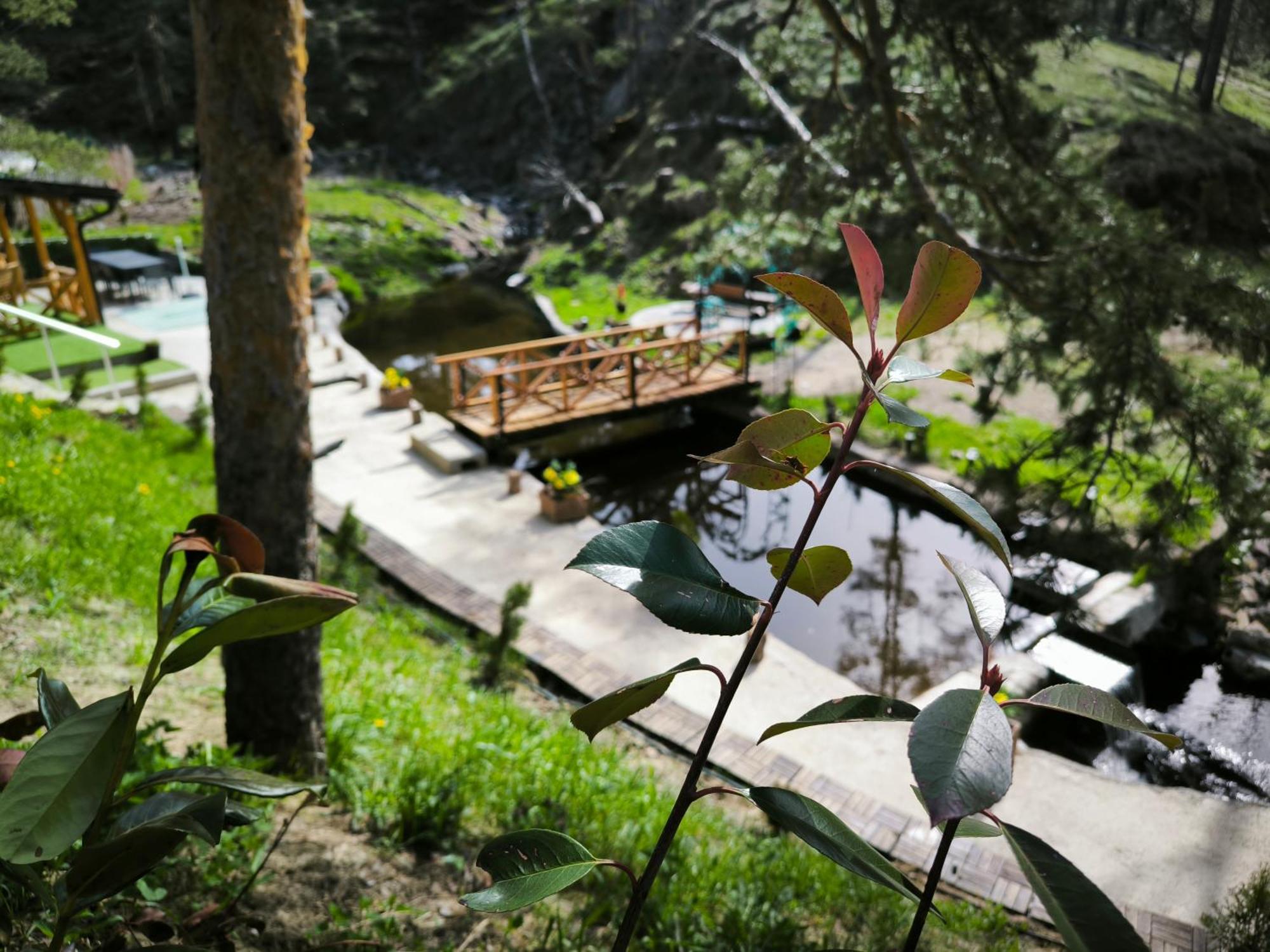 Vila Pogled Wellness I Spa Divčibare Extérieur photo